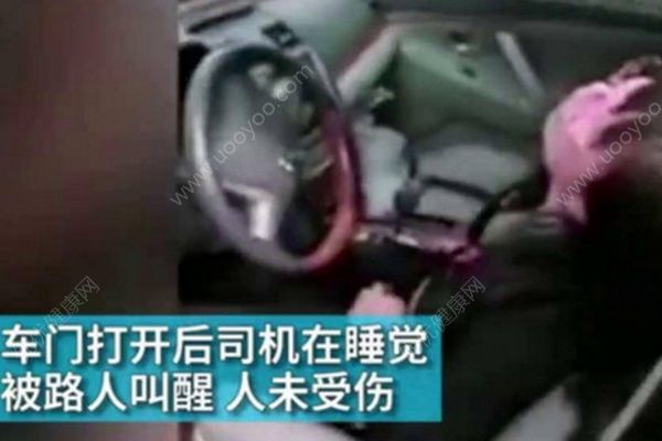 女司機開車睡著撞樹上，半天才將女司機叫醒(1)