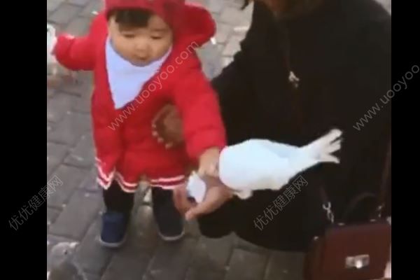 一歲女孩從鴿子嘴里搶食，直接搶鴿食往自己嘴里塞(1)