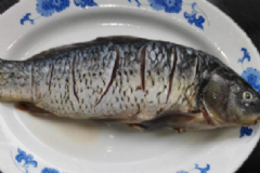 鯉魚(yú)不能和什么同吃？不能與鯉魚(yú)同吃的食物有哪些？[圖]