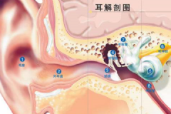 經(jīng)常挖耳屎影響很大！一招解決耳屎煩惱[多圖]