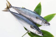 冬天多吃魚有何好處？冬天吃魚有何禁忌？[圖]