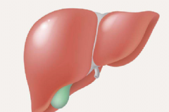 肝癌早期的這五個(gè)癥狀別忽視了 發(fā)現(xiàn)早就不會是晚期[圖]