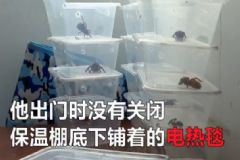 電熱毯燒死寵物 如何防止電熱毯短路？[多圖]