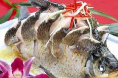 吃魚的哪個部位最營養(yǎng)？魚的哪個部位營養(yǎng)價值高？[圖]