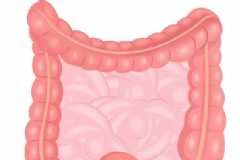 保護(hù)腸胃有哪些妙招？怎么保護(hù)腸胃最好？[圖]