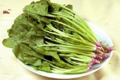 孕婦吃菠菜好嗎？吃菠菜有哪些營養(yǎng)價值？[圖]