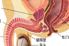 有效預(yù)防睪丸炎的方法有哪些？預(yù)防睪丸炎有什么好方法？[圖]