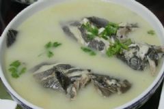 黑魚湯有哪些食用方法？術(shù)后黑魚湯的功效有哪些？[圖]