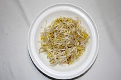 豆芽是酸性還是堿性？豆芽是堿性食物嗎？[多圖]