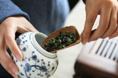 茶葉應該怎么保存好？茶葉有什么好處？[多圖]