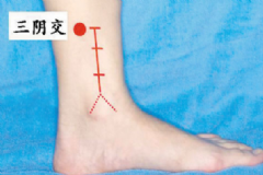 三陰交穴位在身體哪個部位？女性按摩三陰交有什么好處？[圖]