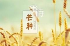 芒種時節(jié)怎樣養(yǎng)生保?。棵⒎N期間養(yǎng)生要點[圖]