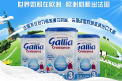 法國Gallia奶粉好不好？法國Gallia奶粉怎么樣？[圖]