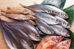 孕婦可以食用海魚(yú)嗎？孕婦不能吃哪些海魚(yú)呢？[圖]