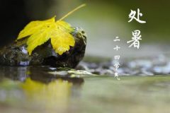 處暑之后還會不會熱？處暑后吃什么養(yǎng)生？[圖]