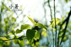 小暑起居養(yǎng)生有哪些注意事項(xiàng)？小暑起居養(yǎng)生常識[圖]