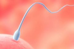 男人精子活力低怎么辦？精子活力低怎么調理？[圖]