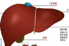 肝功能異常怎么調(diào)理？肝功能異常能治好嗎？[圖]