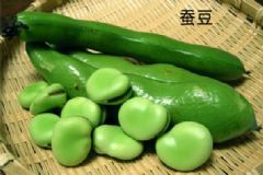 豌豆和蠶豆一樣嗎？蠶豆和豌豆的區(qū)別[多圖]