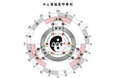 十二正經(jīng)是什么意思？十二正經(jīng)從哪里分左右?[多圖]