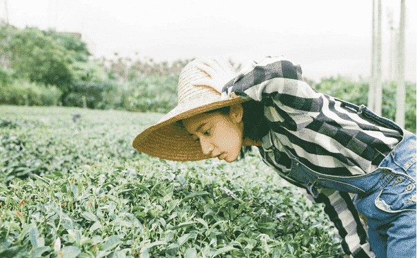 瑜伽減肥操減肥效果好嗎？瑜伽減肥操怎么做？(1)