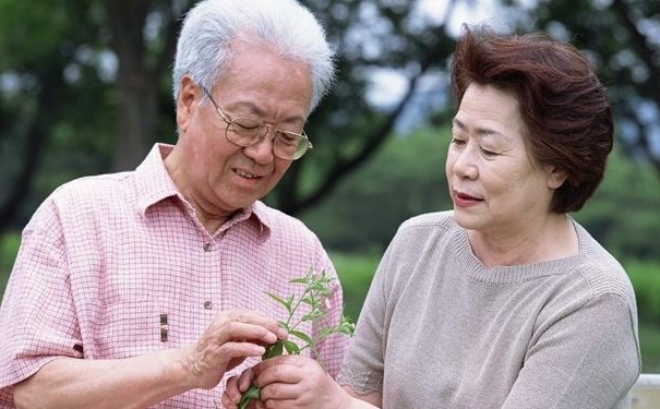 夏季老人要注意哪些飲食原則?老人的長壽秘訣是什么？(1)