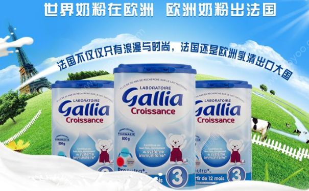 法國Gallia奶粉好不好？法國Gallia奶粉怎么樣？(1)