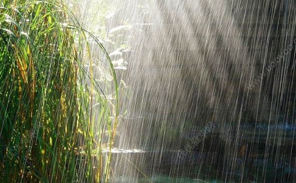 打雷下雨可以洗澡嗎？打雷下雨洗澡有危險(xiǎn)嗎？(4)