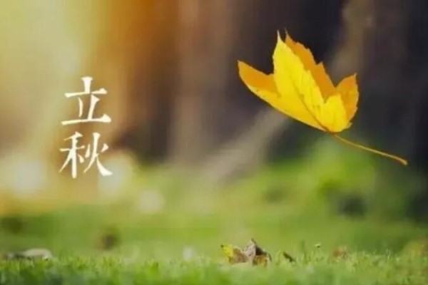 立秋后就喝這3湯，去濕氣補(bǔ)血?dú)?，一覺(jué)睡到大天亮！