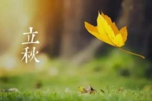 立秋后就喝這3湯，去濕氣補(bǔ)血?dú)猓挥X睡到大天亮！