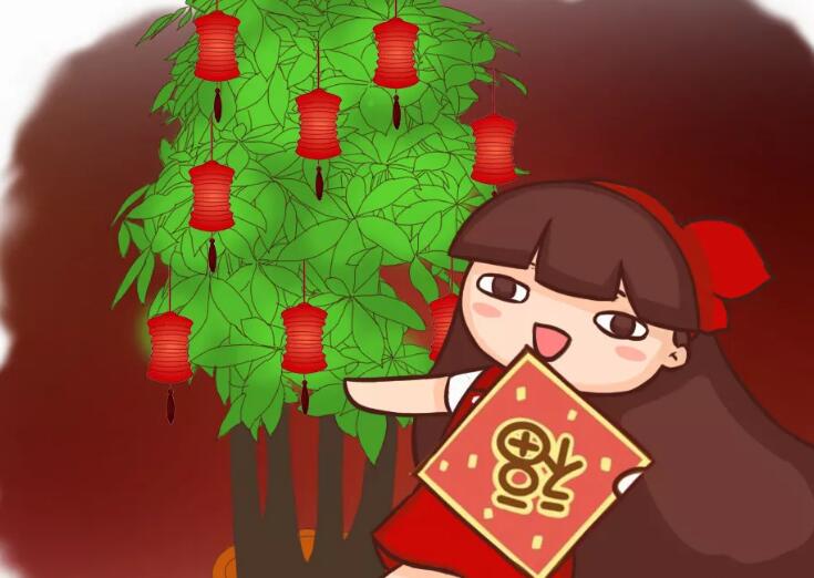 過年給花塞點(diǎn)錢，福氣增加100倍，紅紅火火迎新春！