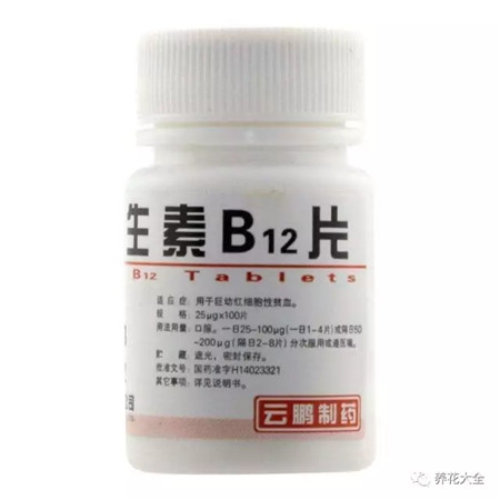 維生素B12