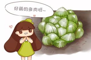 5月不養(yǎng)多肉？后悔去吧