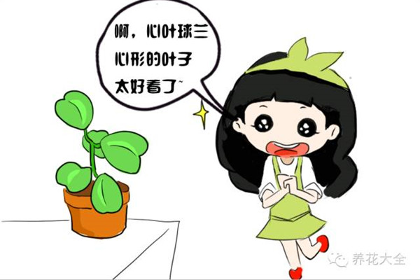 這花就算永遠不開花，我也想養(yǎng)一萬年