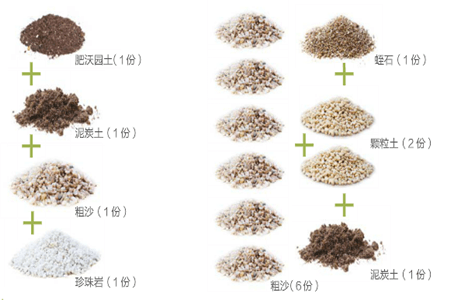 多肉植物的部分土壤配方