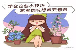 學(xué)會這20個小技巧，家里的花想養(yǎng)死都難！