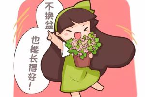 他養(yǎng)花十年沒(méi)換過(guò)盆，年年花開(kāi)滿枝，只因?yàn)樽隽诉@個(gè)