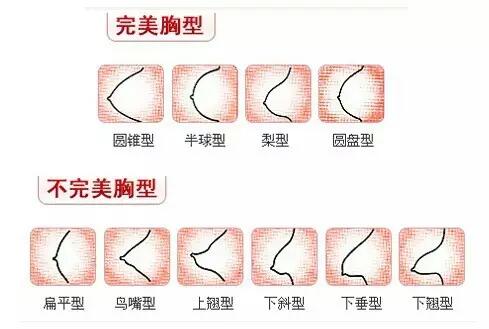 14歲女生的胸是怎么樣的？14歲女孩健康正常的胸長什么樣？[圖]