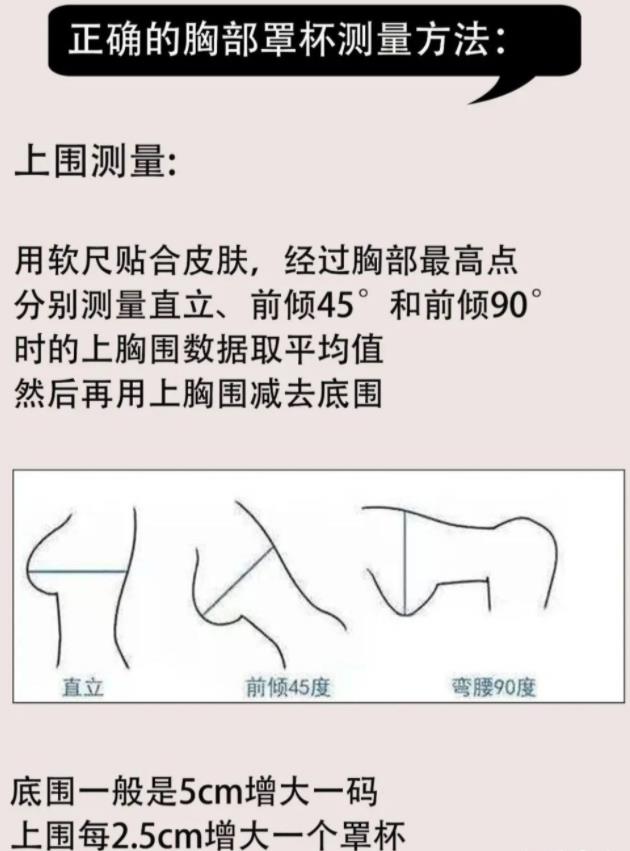 初二女生的罩罩是什么樣？初二女生的胸衣是什么樣的？[圖]