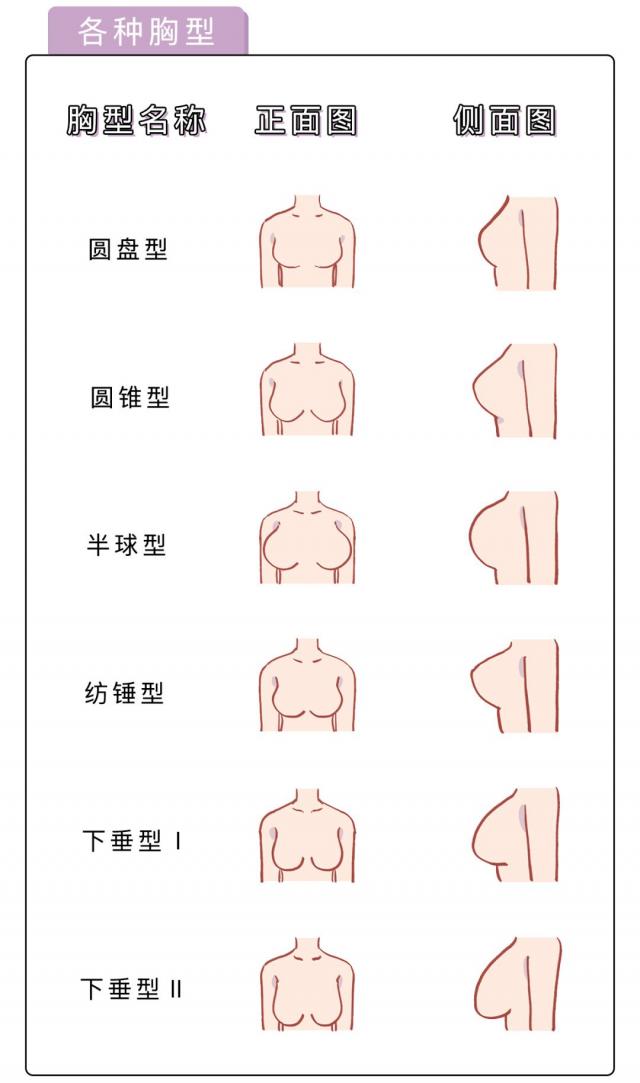 女人的乳房是什么樣的圖片？女性的胸部有哪些形狀？[多圖]