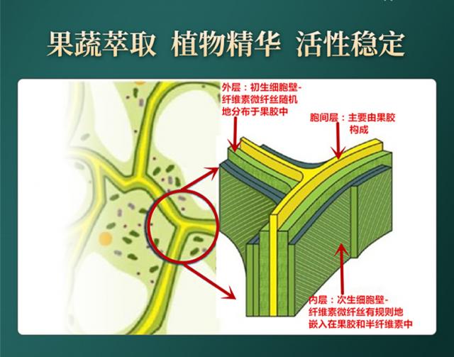 常青通超微化果蔬膳食纖維中國(guó)發(fā)明專利