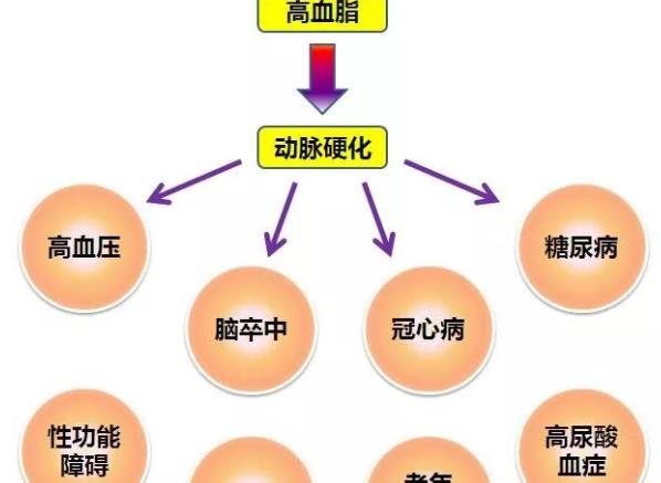 高血脂怎么調(diào)理 加強(qiáng)鍛煉減肥少吃甜食脂肪