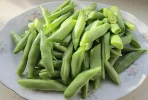 秋蕓豆何時(shí)能夠種植？種植秋蕓豆要注意什么？