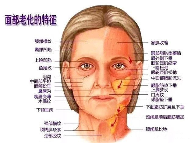  北京煤醫(yī)副主任王馳：TER時光定格術為什么聯(lián)合吸脂？