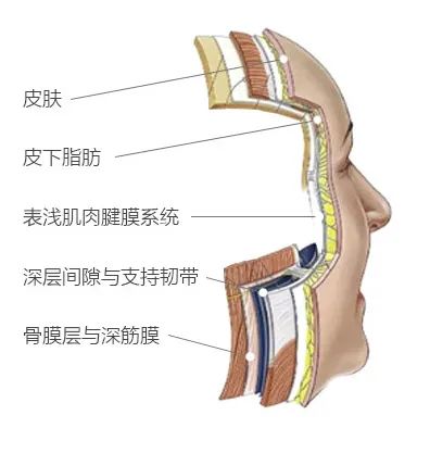 北京煤醫(yī)副主任醫(yī)師王馳：什么是TER時(shí)光定格術(shù)？