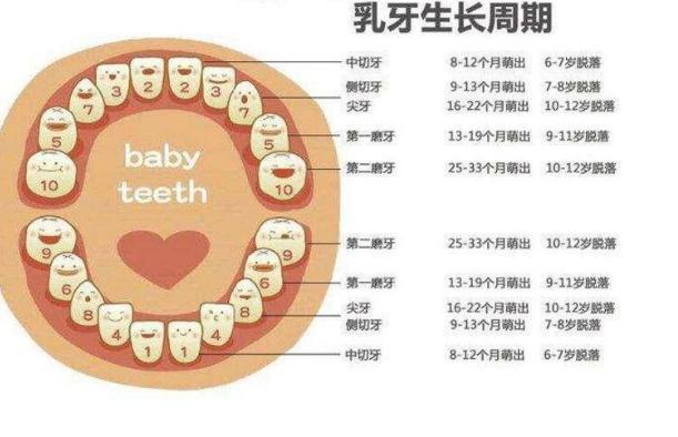 兒童磨牙怎么辦？嬰兒磨牙棒會讓牙齒畸形嗎？