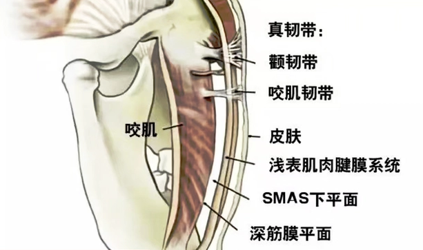 王的整形王海木：內(nèi)窺鏡（拉皮除皺）提升術(shù)和普通拉皮區(qū)別