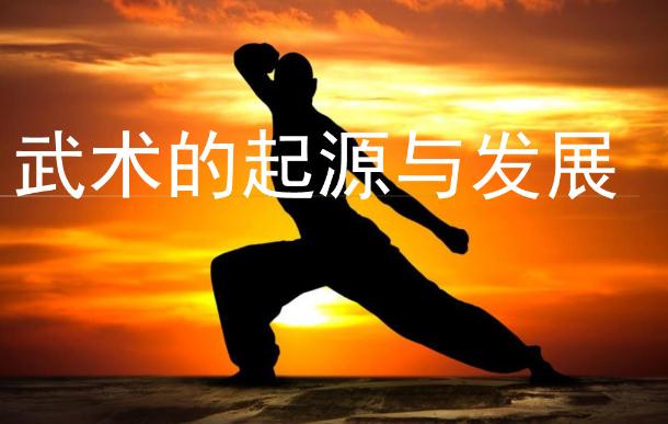 武術的發(fā)展和起源是怎么來的？武術可以鍛煉孩子什么？