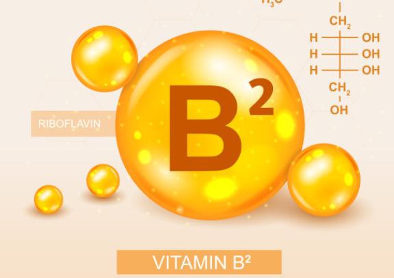 維生素b2吃多了會怎樣 腸道紊亂損壞牙釉質(zhì)腎功能