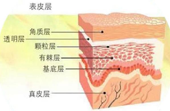 角質(zhì)層薄能用白醋洗臉嗎 酸性物質(zhì)損傷肌膚干燥疼痛